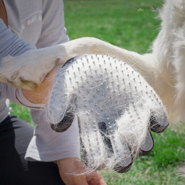 Luva Escova Removedora de Pelos Para Cães Gatos e Pets